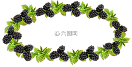 標簽,黑莓,保留