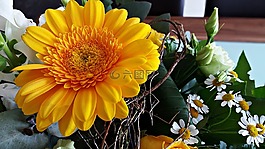 鮮花,非洲菊,束鮮花