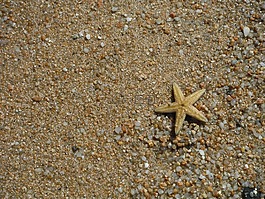 夏季,海,砂