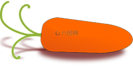 胡蘿卜,根,蔬菜