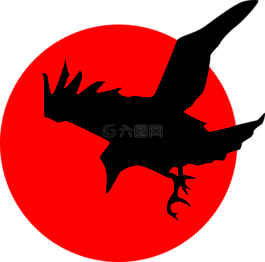 烏鴉,飛行,側(cè)影