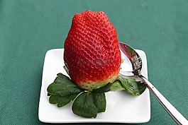 草莓,水果,吃
