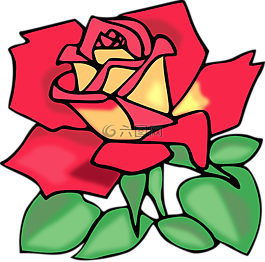 玫瑰,粉紅色,花