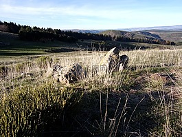 山,皮埃爾 ·,巖