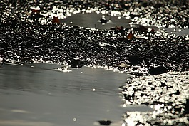 水,礫石,卵石