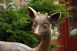 鹿,圖像,雕像