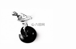 獎,白,黑