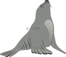 海,獅子,動物