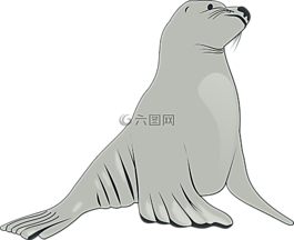 海獅,哺乳動(dòng)物,海