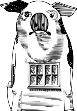 豬,立場(chǎng),動(dòng)物