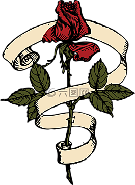 玫瑰,紅色,花