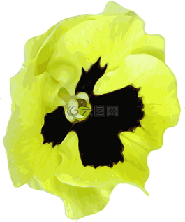 花,黃色,春