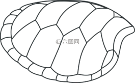 龜,外殼,模式