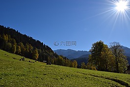巴伐利亞,山,高山草甸
