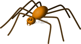 蜘蛛,昆蟲,甲蟲，昆蟲