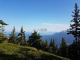 山,森林,景觀