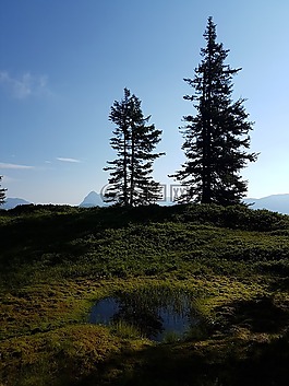 涂料,湖,池