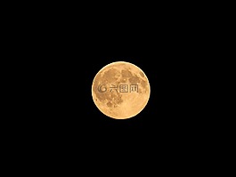所有,明星,活