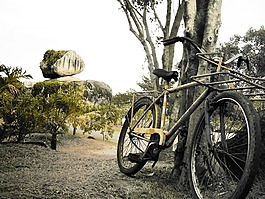 自行車,石,洋蔥