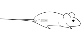 鼠标,灭鼠,小
