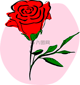 玫瑰,羅莎,紅色