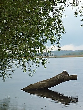 oderbruch,河,印象