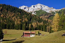 山,高山,秋季