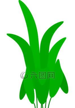 花盆,植物,花