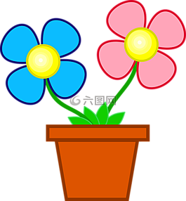 鮮花,鍋,花盆