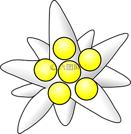 花,白,黃色