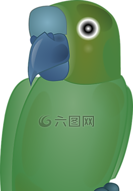 綠色,鳥,藍色