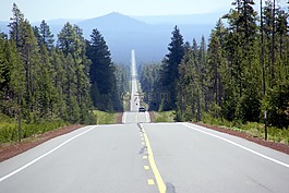 路,森林,透視