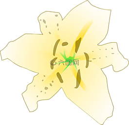 百合,花,黃色