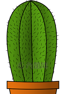 仙人掌,綠色,植物