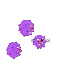 病毒,病原,疾病