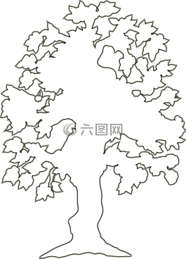 樹,白,分支機(jī)構(gòu)