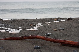 海灘,木,石頭