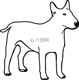 狗,白,動物