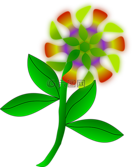花,植物,花瓣