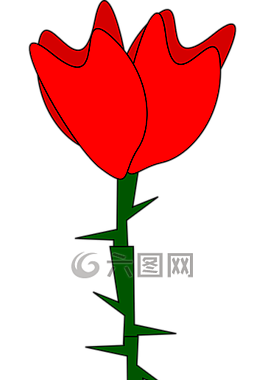 玫瑰,花,紅色