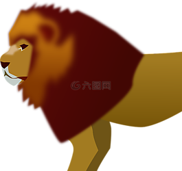獅子,動物,哺乳動物