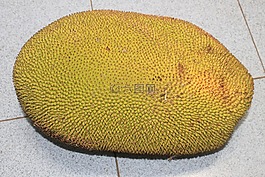 菠蘿蜜,食品,印度尼西亞