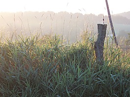 農(nóng)場,fencepost,農(nóng)村
