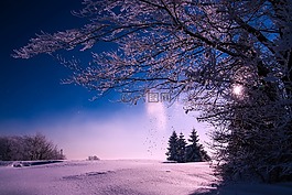 冬天,雪,日落