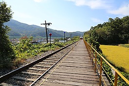 鐵路,景觀,國家