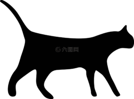 貓,側(cè)影,黑