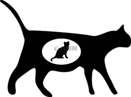 貓,寵物,動物