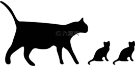 貓,側(cè)影,黑