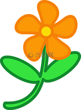 花,橙色,花的