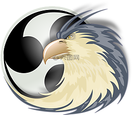 鷹,猛禽,捕食鳥